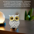 Luxury Owl Showpiece for Home Decor | Elegant Resin Owl Statue | Modern Table Decor by RIVA DECORATION®